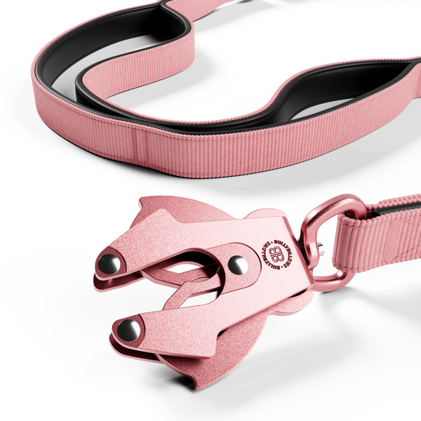 Ladder Combat® Multiple Handles Lead - Pink