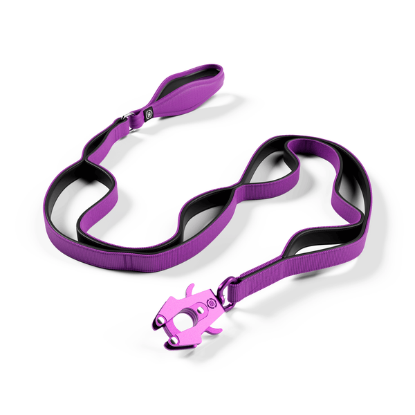 Ladder Combat® Multiple Handles Lead - Purple