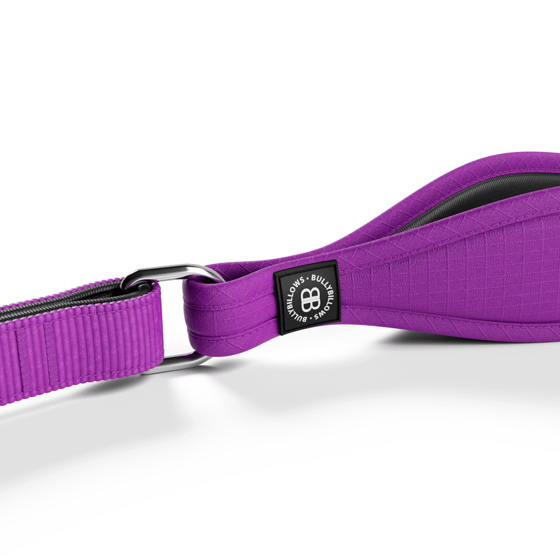 Ladder Combat® Multiple Handles Lead - Purple