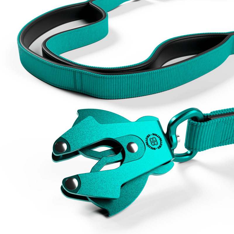 Ladder Combat® Multiple Handles Lead - Teal