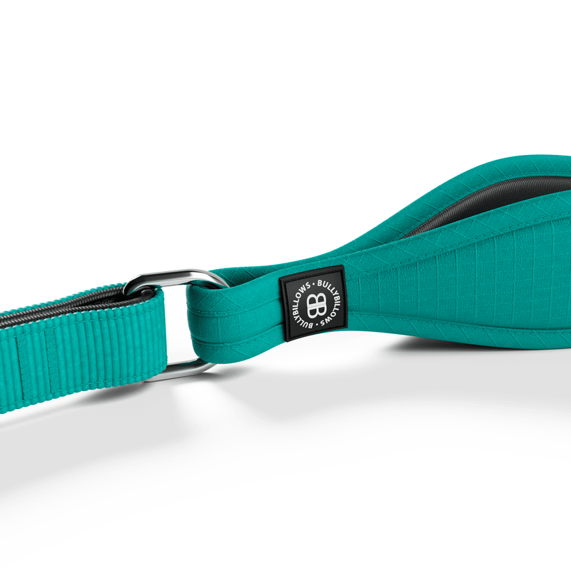 Ladder Combat® Multiple Handles Lead - Teal