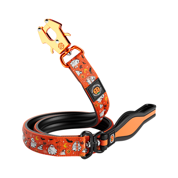 Leads