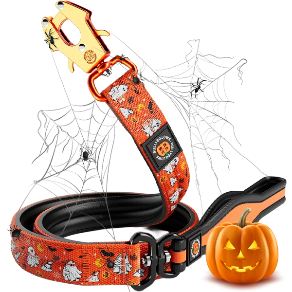 Leads