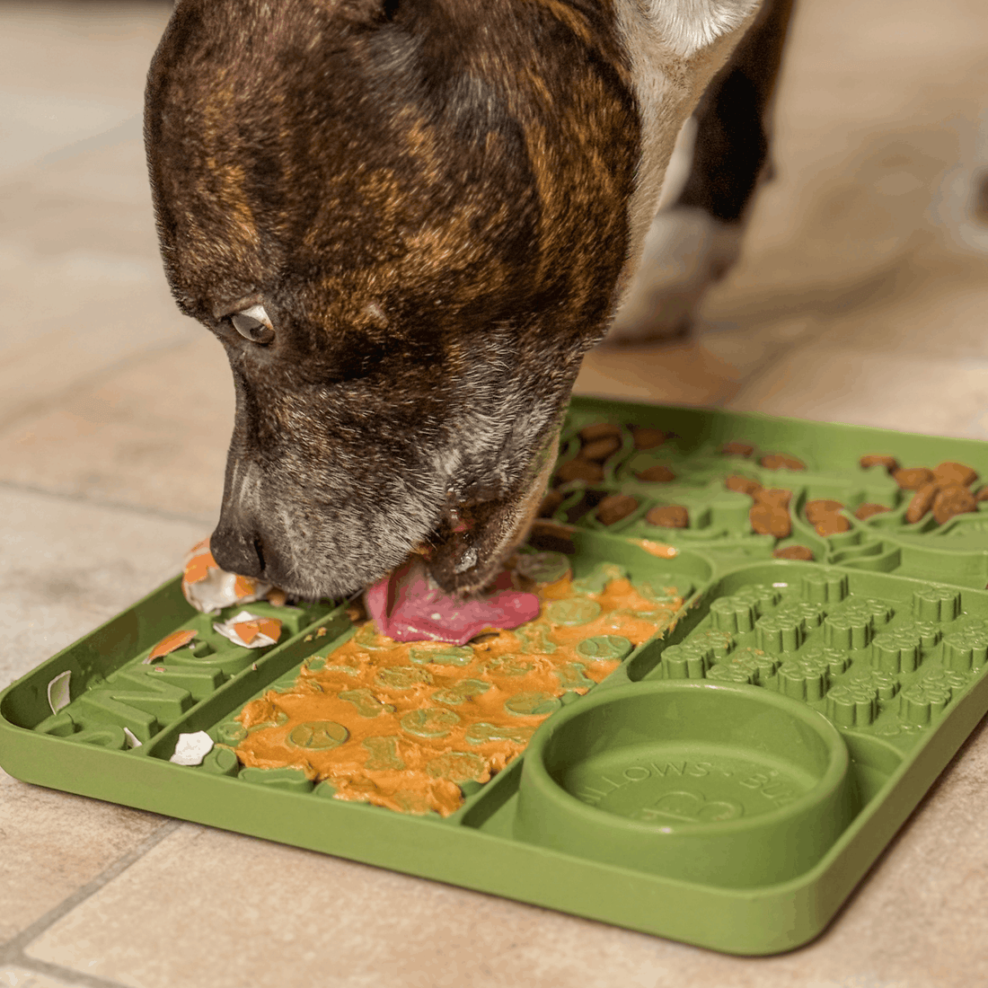 featured image of Dog Licking Munch Mats®