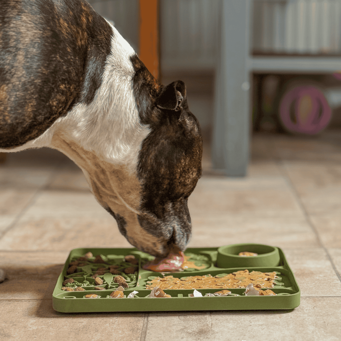 featured image of Dog Licking Munch Mats®