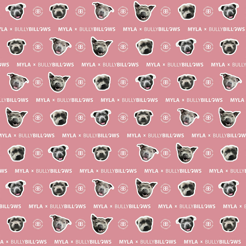 MYLA Pink Edition| Luxury Human & Dog Blanket