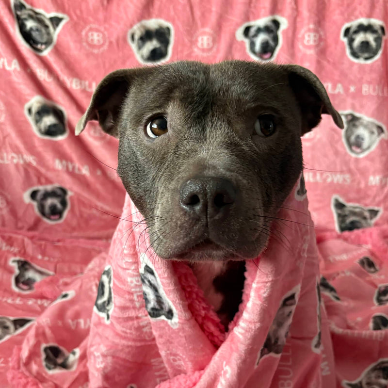 MYLA Pink Edition| Luxury Human & Dog Blanket