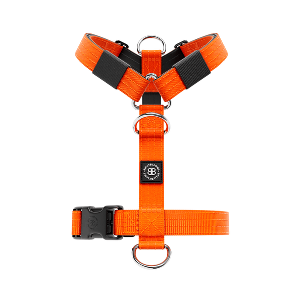Anti-Pull TRI-Harness® | Training Dog Harness for All Breeds - Orange