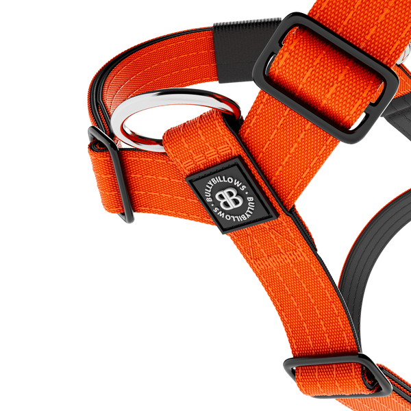Anti-Pull TRI-Harness® | Training Dog Harness for All Breeds - Orange