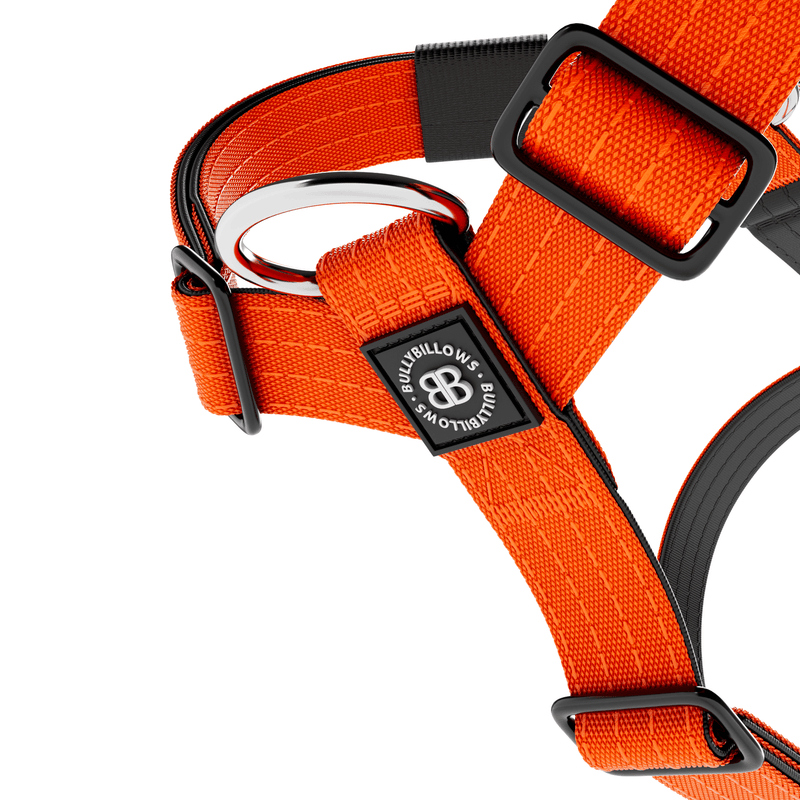 Anti-Pull TRI-Harness® | Training Dog Harness for All Breeds - Orange