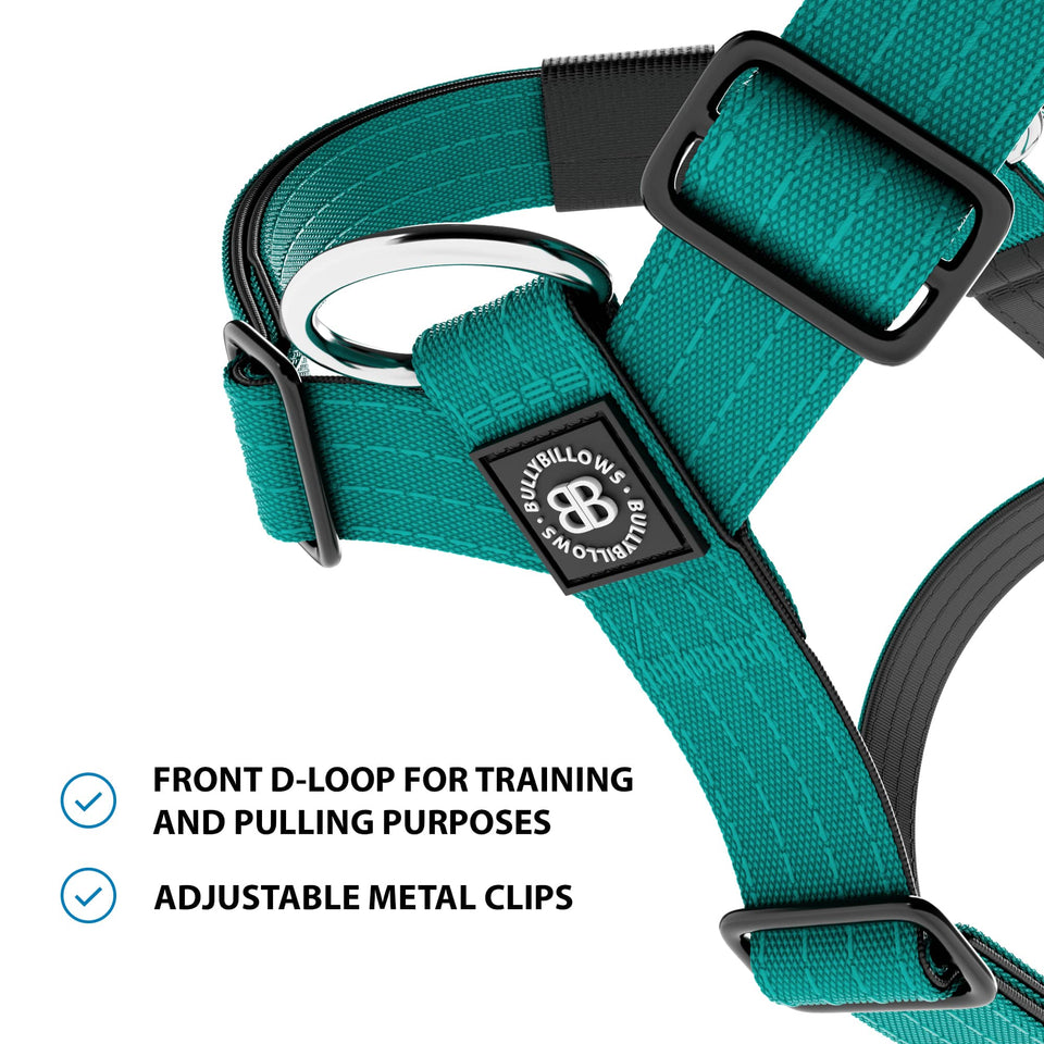Anti-Pull TRI-Harness® | Training Dog Harness for All Breeds - Turquoi ...
