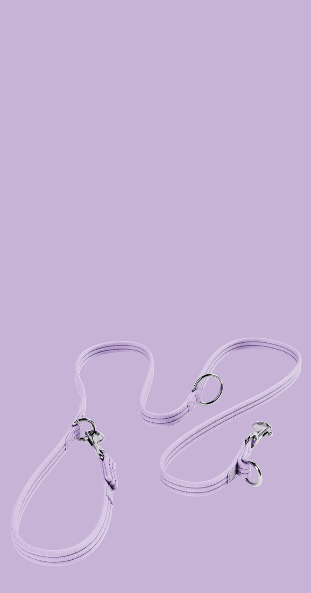 Two‑Point Control, Zero Tangles