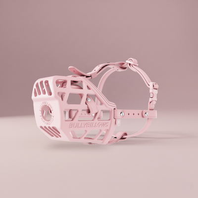 Pink Dog Muzzle