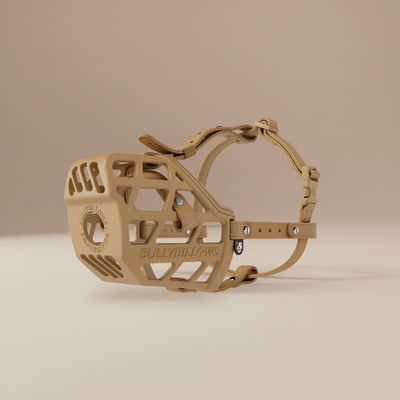 Tan Dog Muzzle