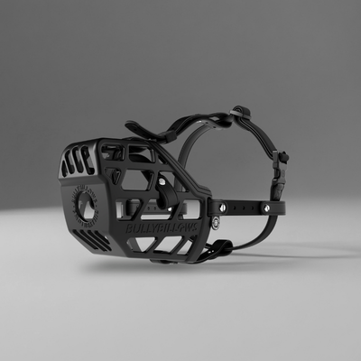 Black Dog Muzzle