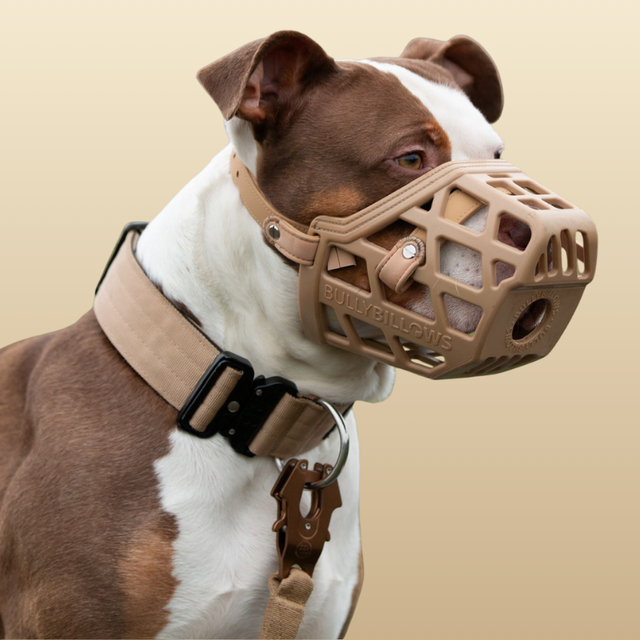 Dog with dough muzzle
