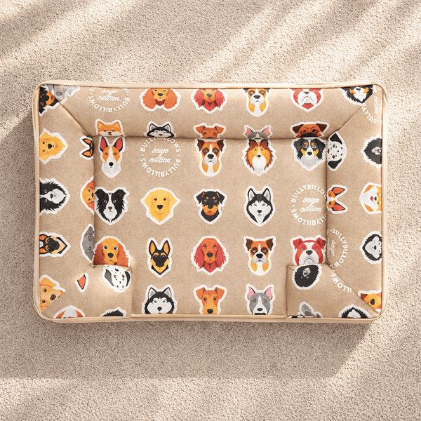 Luxury Dog Bed - Beige Edition | Add your dogs name