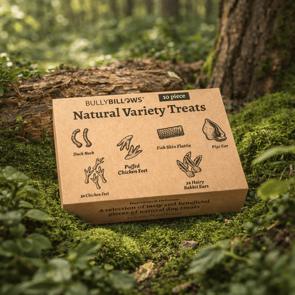 Dog Treat Variety Box - 10 Pieces