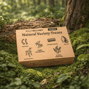 Dog Treat Variety Box - 10 Pieces