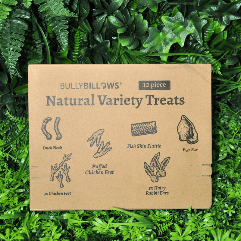 Dog Treat Variety Box - 10 Pieces