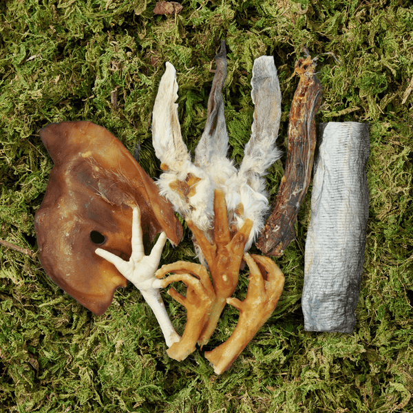 Dog Treat Variety Box - 10 Pieces