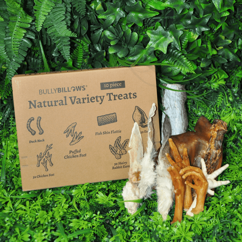 Dog Treat Variety Box - 10 Pieces