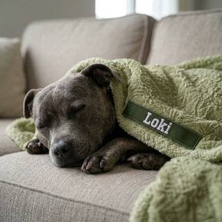 Promotional image for Blankets