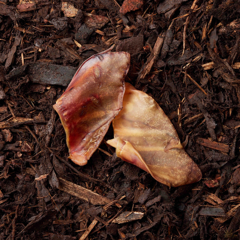 Pig Ears - 2 Pieces