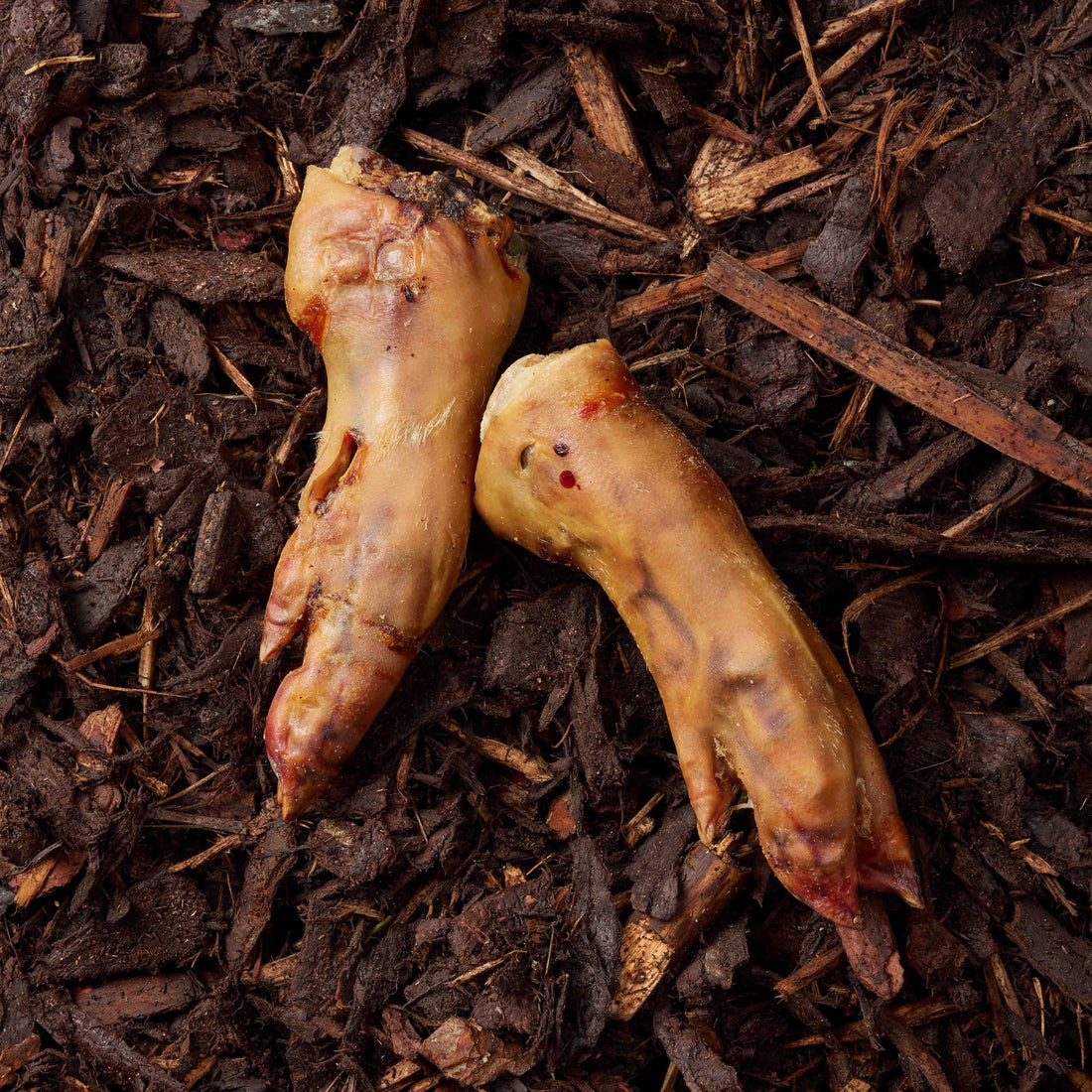 featured image of Pigs Feet - 2pcs