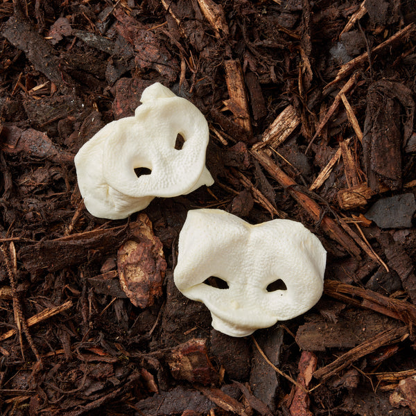 Puffed Pig Noses - 2 Pieces