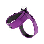 Boomerang Harness - Non Restrictive, Lightweight, Small - Medium Breeds - Purple