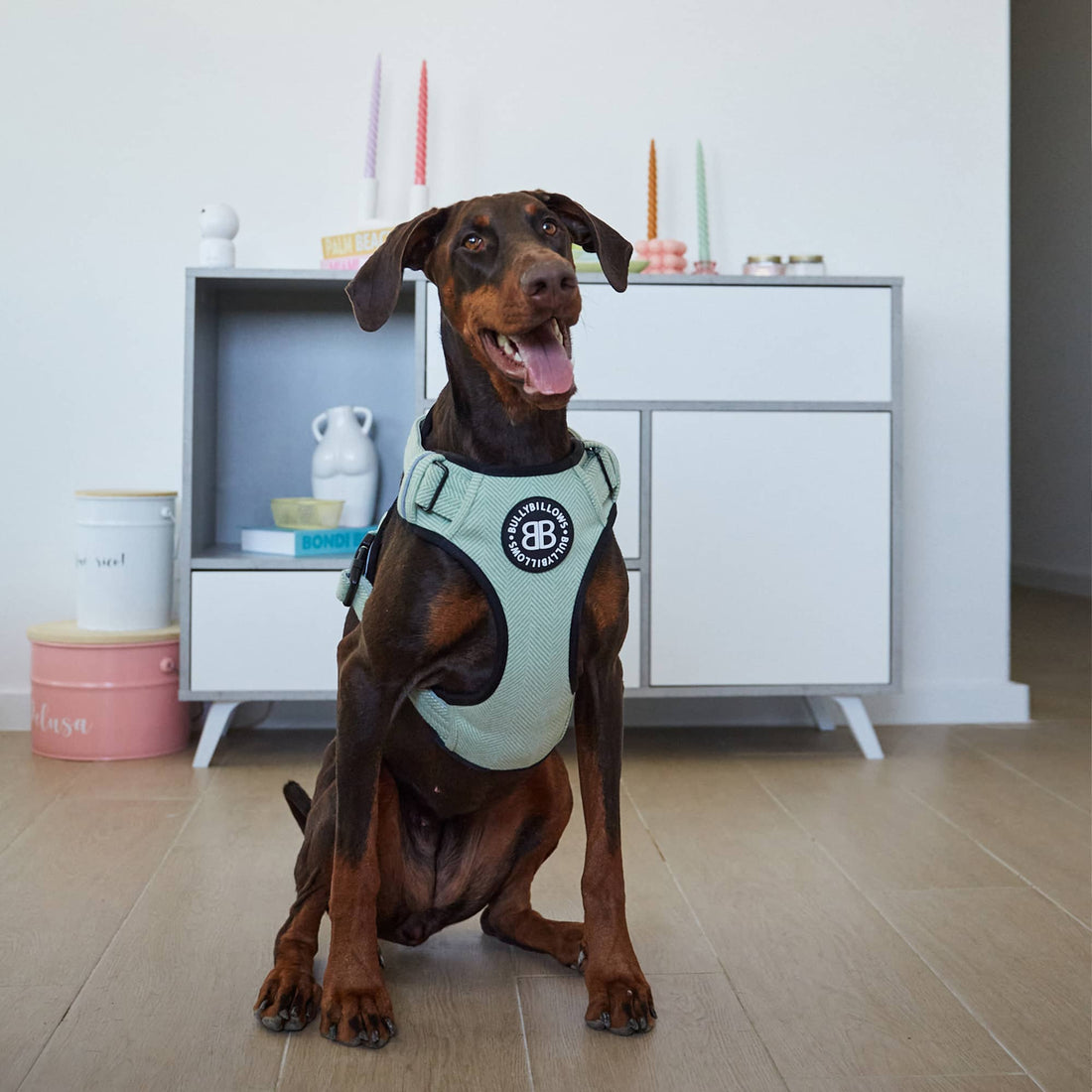 featured image of Premium Comfort Herringbone Harness | Non Restrictive - Soft Pink