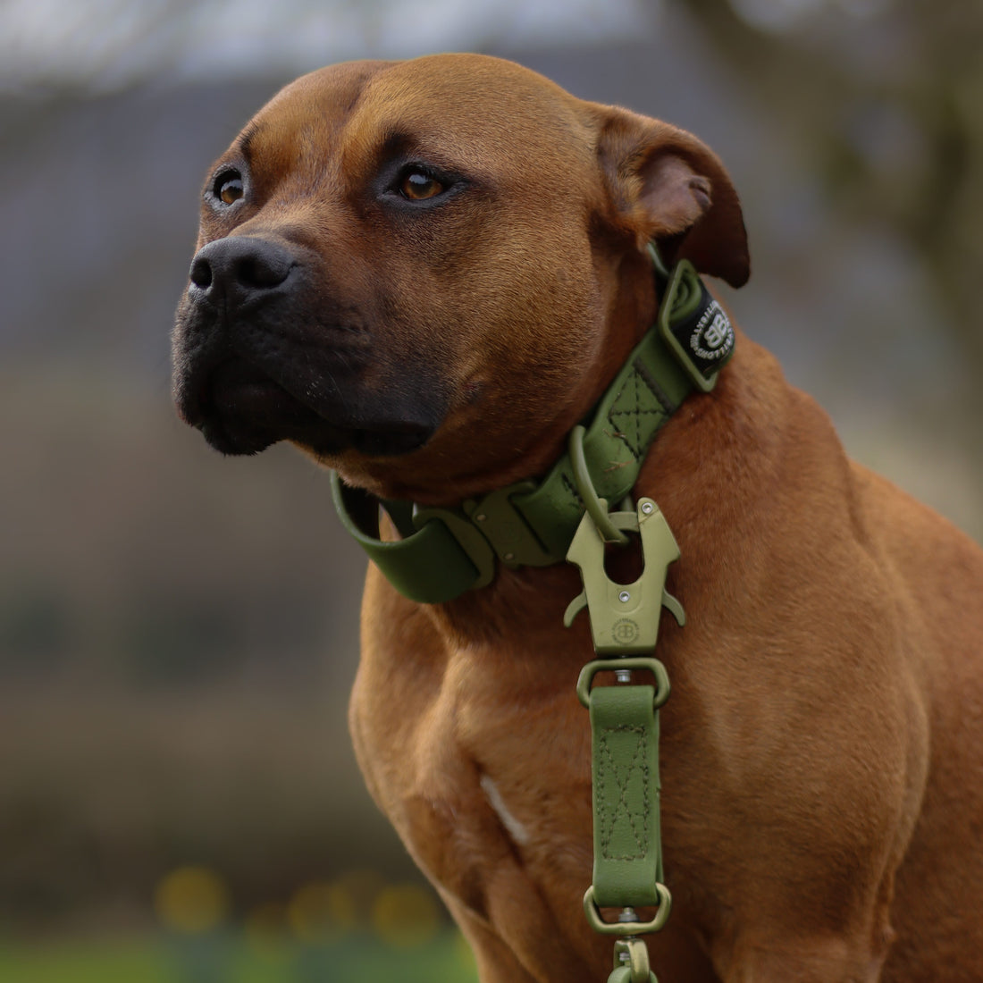 featured image of 1.4m Lighter Swivel Combat® Lead