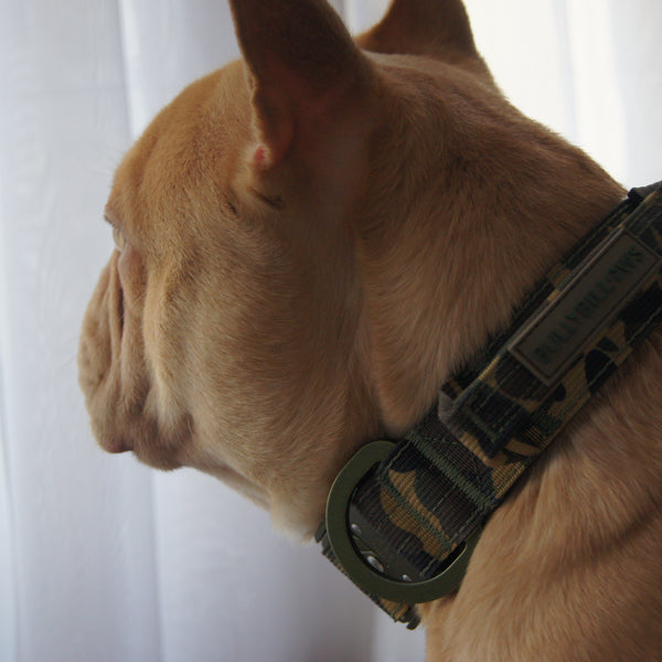 2.5cm Lighter Combat® Collar | Pink Camouflage