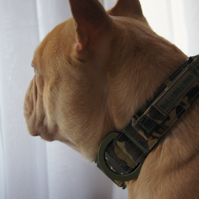 2.5cm Lighter Combat® Collar | Pink Camouflage