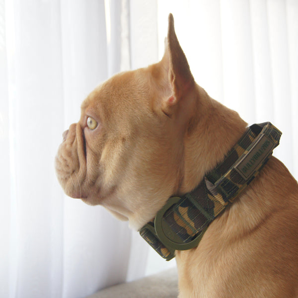 5cm Lighter Combat® Collar | Green Camouflage