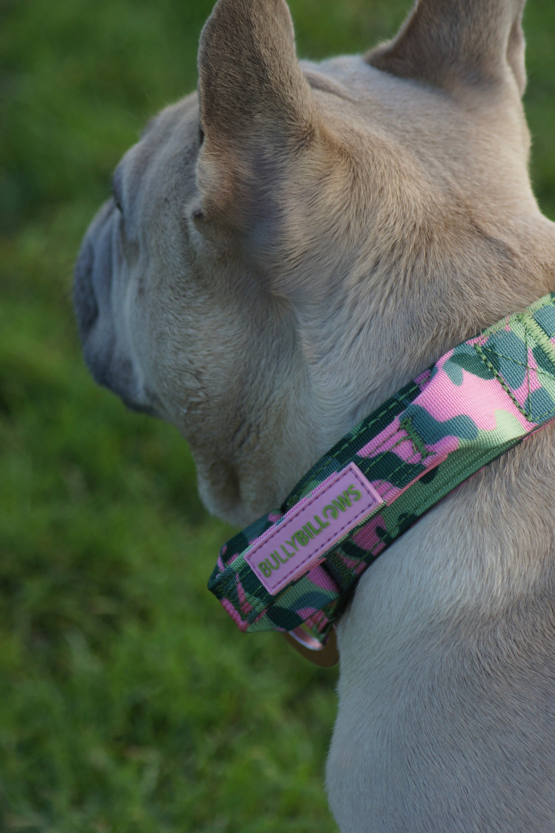 featured image of 5cm Lighter Combat® Collar | With Handle & Secure Clip - Green Camouflage