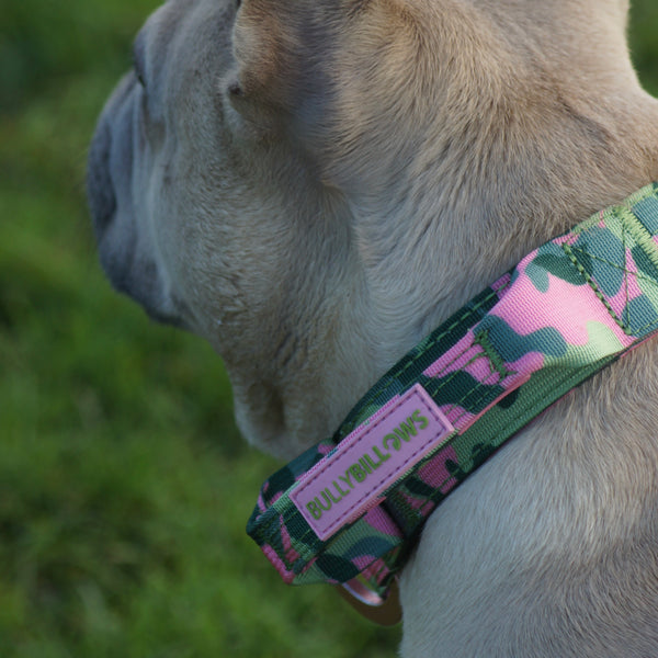 2.5cm Lighter Combat® Collar | Pink Camouflage