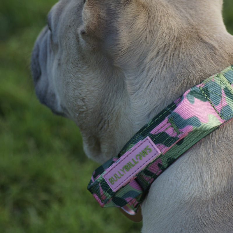 4cm Lighter Combat® Collar | With Handle & Secure Clip - Pink Camouflage