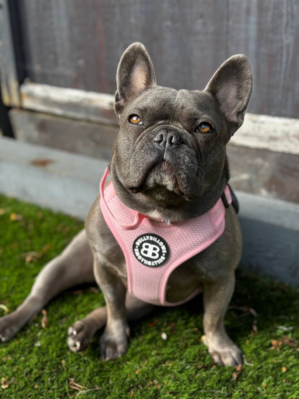Tonka