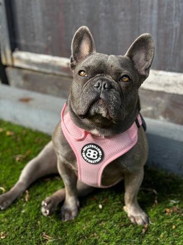 Tonka