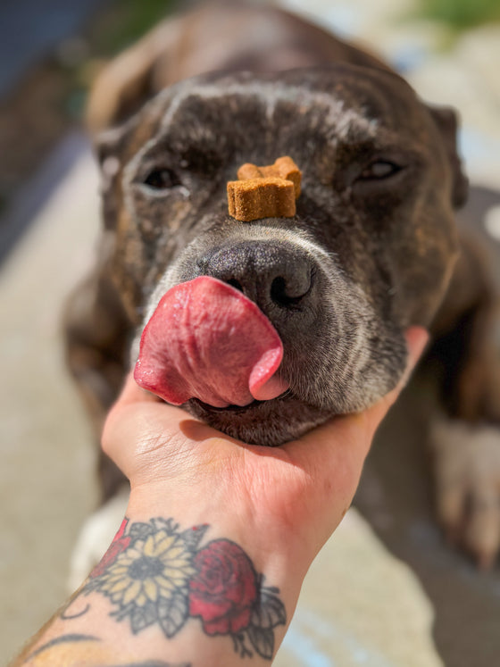 @Loki.staffy