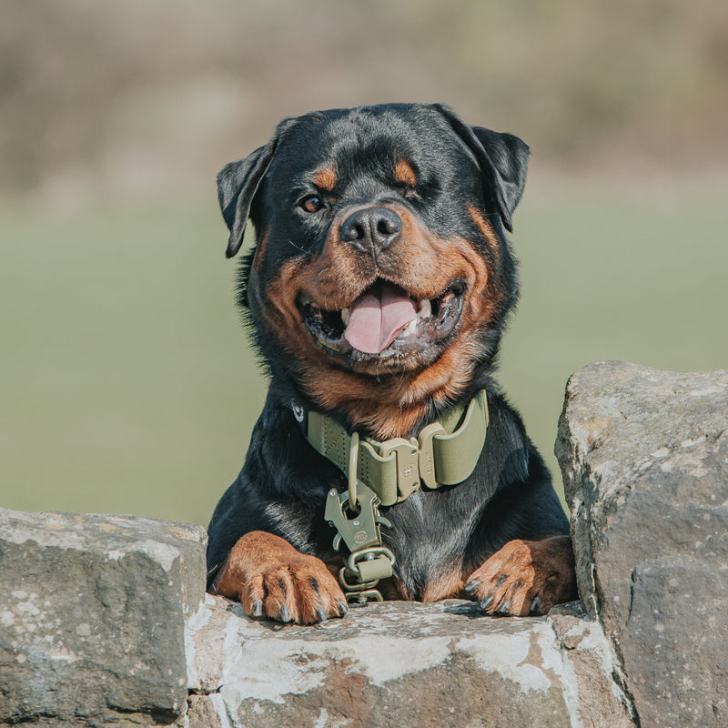5cm Combat Billowthane® Collar | Waterproof - Khaki
