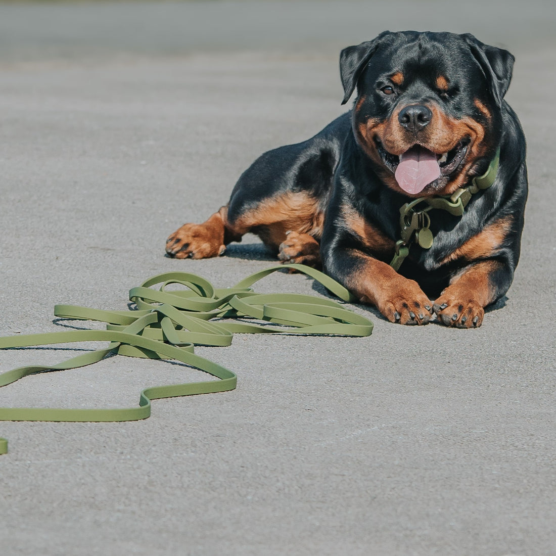 featured image of 10m Recall Billowthane® Lead | Waterproof - Matte Khaki
