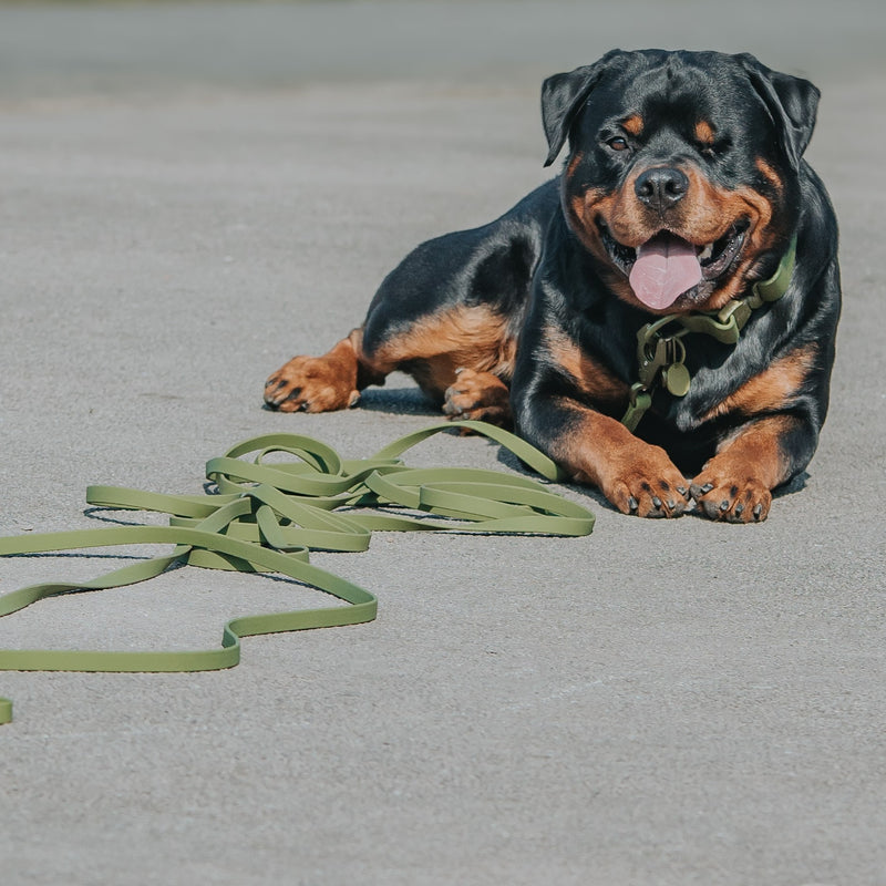 10m Recall Billowthane® Lead | Waterproof - Matte Black