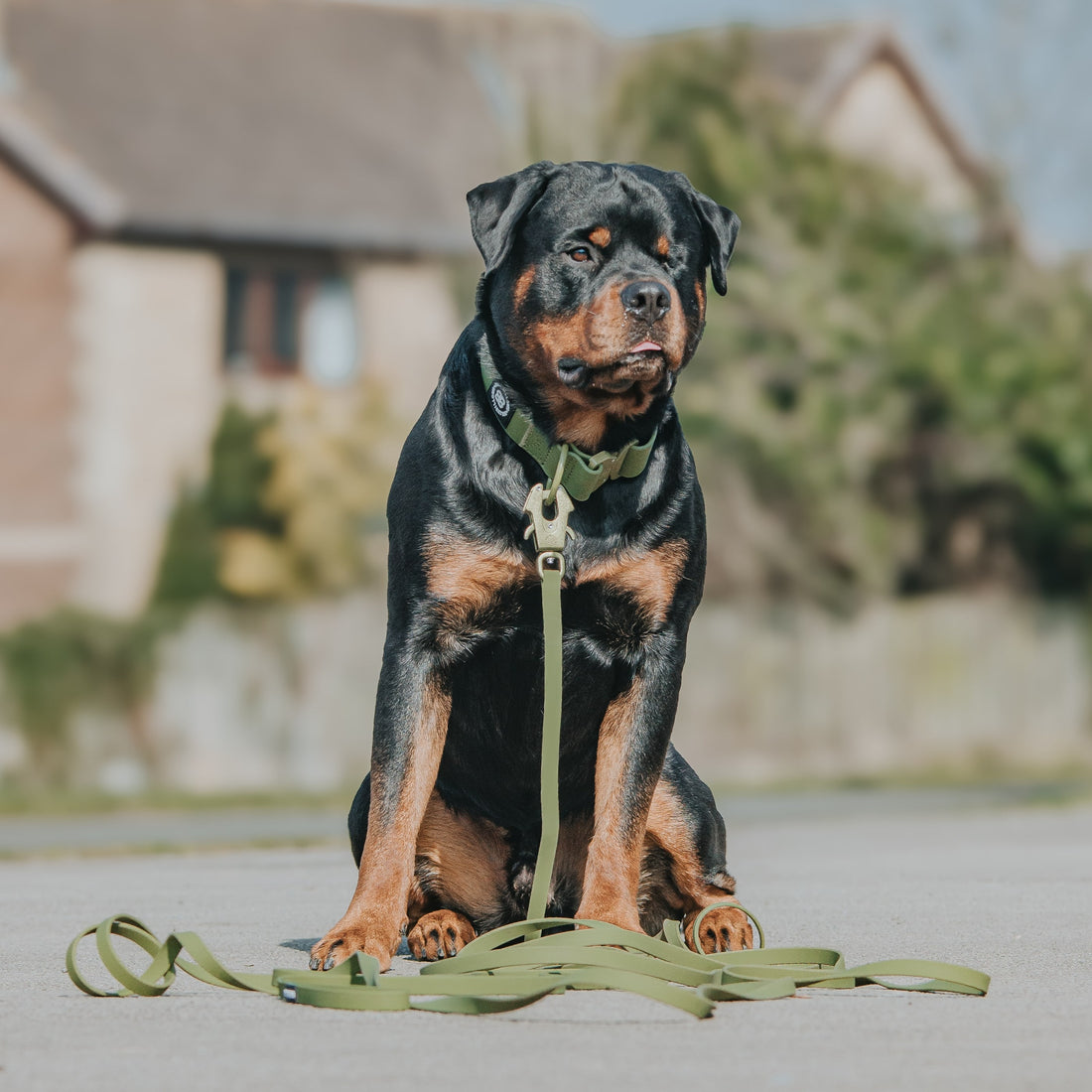 featured image of 10m Recall Billowthane® Lead | Waterproof - Matte Khaki