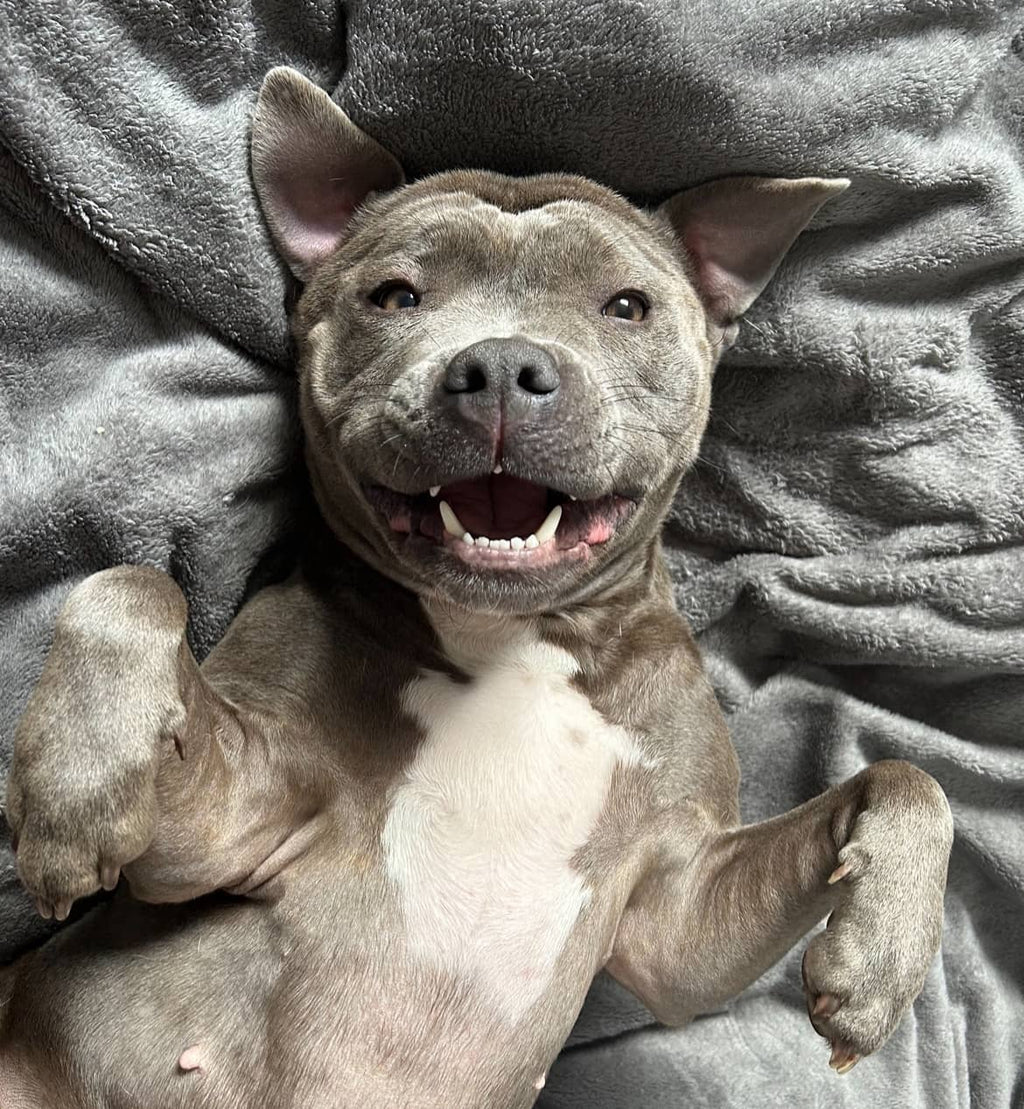 Myla