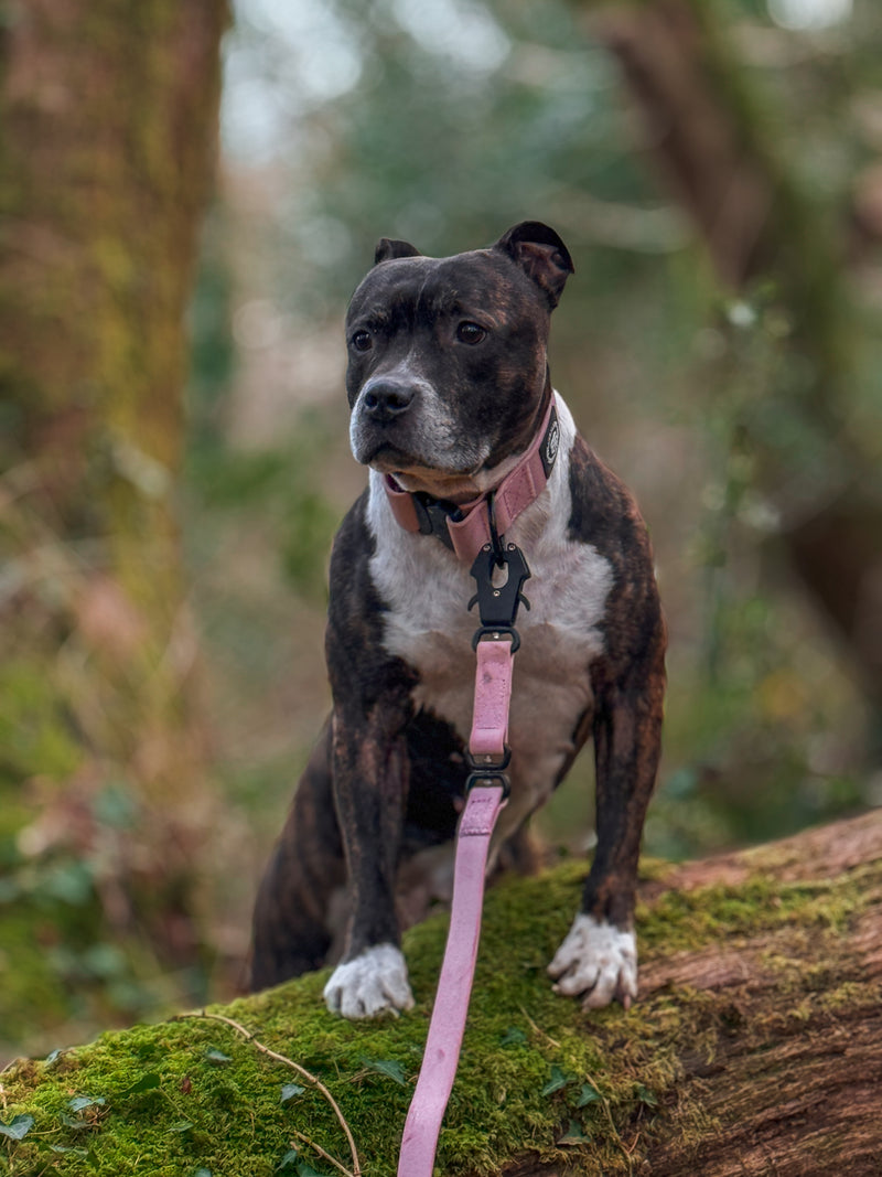 1.4m Lighter Swivel Billowthane Combat Lead | Anti-Tangle & Secure Clip | Waterproof | Pink