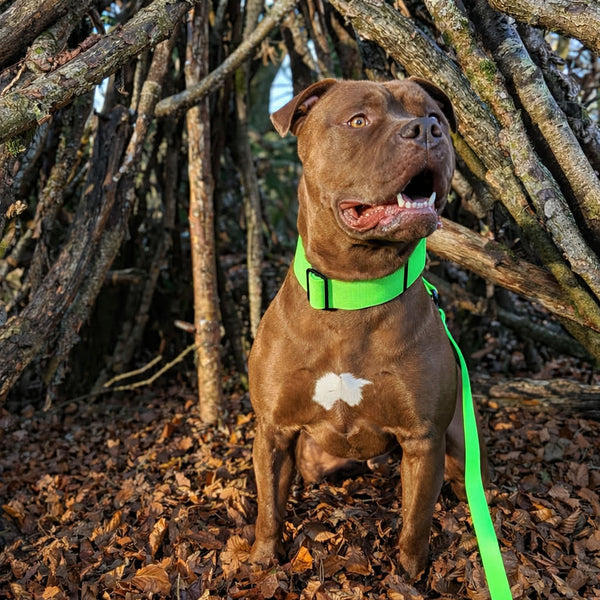 1.4m Lighter Swivel Billowthane Combat Lead | Anti-Tangle & Secure Clip | Waterproof | Neon Green