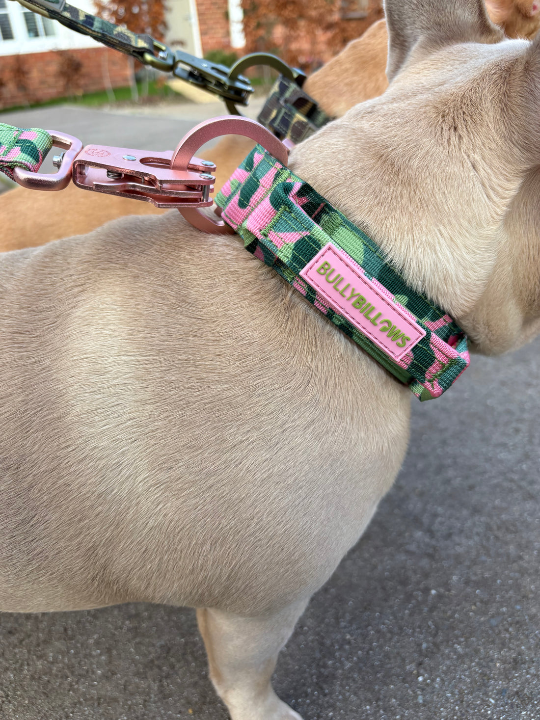 featured image of 5cm Lighter Combat® Collar | With Handle & Secure Clip - Pink Camouflage